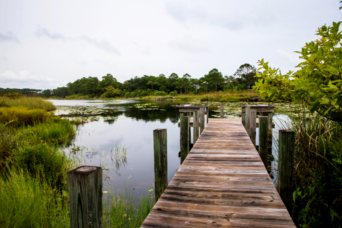 Discover the serene side of 30A, where solitude and beauty converge.