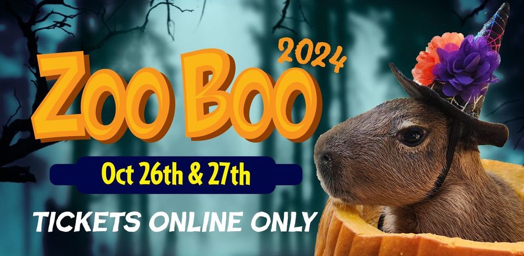 ZooBoo 2024: A Wild Trick-or-Treat Experience in 30A, Florida!