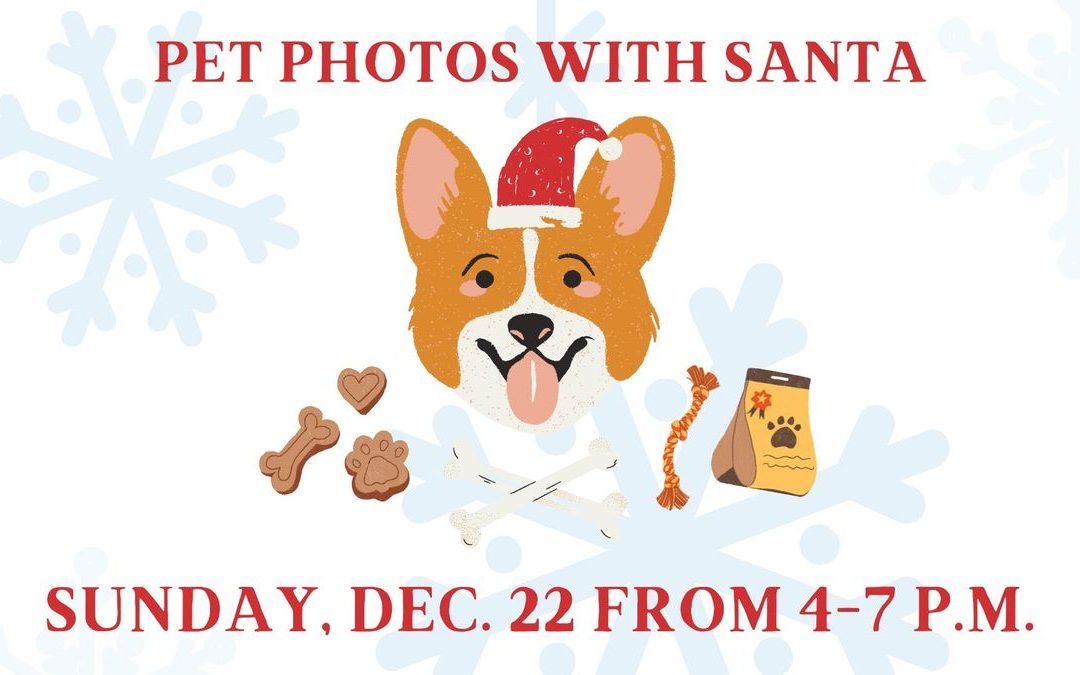 Snap Festive Memories: Pet Photos With Santa in Beautiful 30A