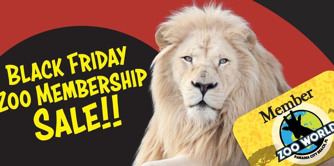 Support Conservation and Save: Join the Black Friday Zoo Membership Sale