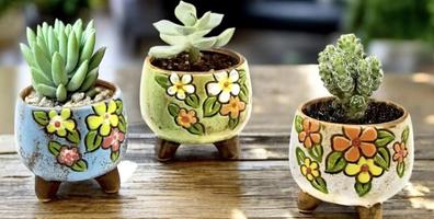 Air Plant/Succident Holder Pottery Class: A glimpse into the creative and therapeutic world of pottery and plant nurturing.